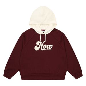 [에꼴리에][가을]배색 후드 니트라이크 후드티 25C5453