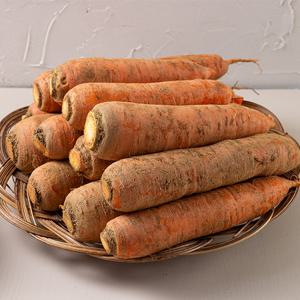 제주 구좌 흙당근 중 5kg