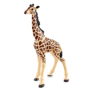 파포 동물 모형완구 아기 기린 50100