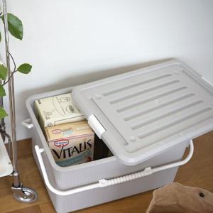 모니카 33L 리빙박스 2P 펜트리 수납 정리 피크닉 나들이 다용도 바스켓