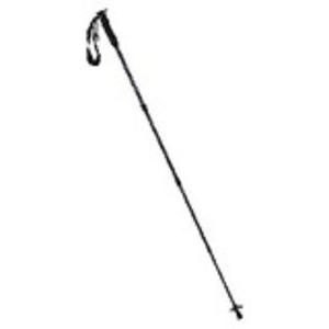 REDFACE HC02 파이크포스텝스틱 REEGSTX24101-PI