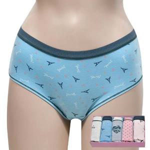 BFL 쁘띠한 그래픽 디자인 여성 미디 스판 5매입 팬티