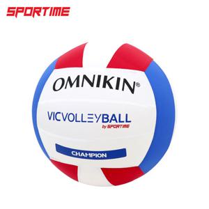 빅발리볼 챔피언