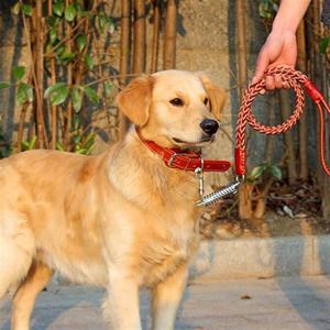 목줄 할인 애완견 가죽 로프목걸이 L 대형견 리드줄