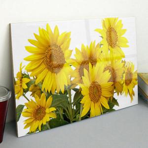 아트박스/꾸밈 tm125-아크릴액자_하늘과해바라기(대형)