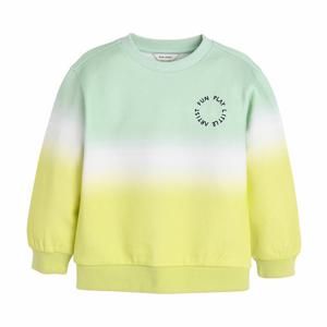 [컬리수] 그린그라데이션MTM C241TSG55P