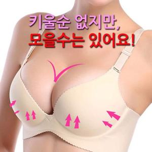 사기 세젤예 뽕브라 왕뽕브라 볼륨업 푸쉬업 브라
