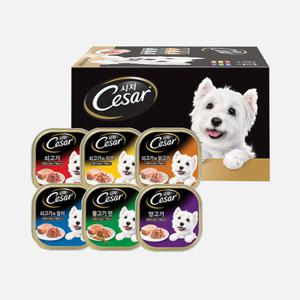 시저 버라이어티 6종 콤보팩 12개입 강아지 사료