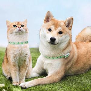 강아지 모기 진드기 퇴치제 벌레퇴치 해충방지 목걸이 M 2개