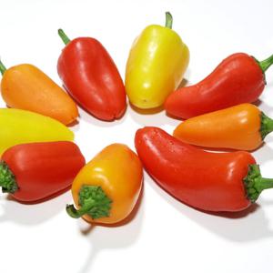 산정마을 국내산 미니 파프리카 500g