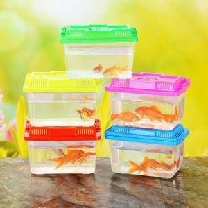 반투명 미니 물고기 어항 채집통