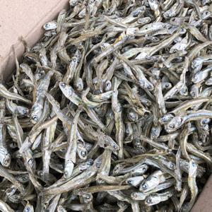 중상급 고바멸치 1.5kg무료배송 가정용 안주멸치 멸치