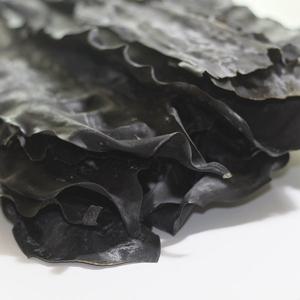 육수의 기본 완도 건다시마 1kg