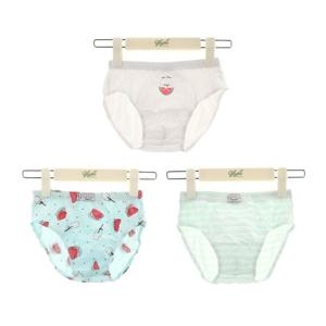 [헌트이너웨어] 남아동 후르츠 삼각팬티 3매(HIMP725K2C_10)