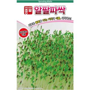 아시아종묘 씨앗 새싹 알팔파싹 30g
