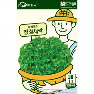 아시아종묘 씨앗 새싹 청경채싹 30g