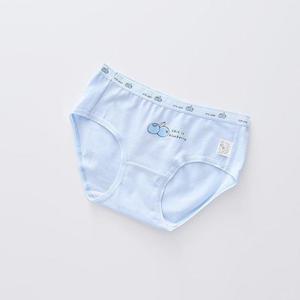 슈와츠코리아 여아드로즈 과일삼각 5종