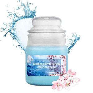 실내방향제 소이캔들 유리병 소형 90g 아쿠아체리블라썸