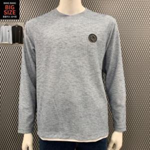 뱅뱅빅사이즈 HC04 봄남성와펜 라운드긴팔티셔츠 BTL108