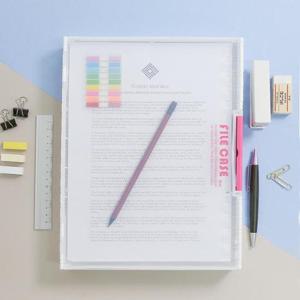 사무실 대학교 학원 A4 반투명 파일케이스 소형 FC04