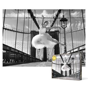 아트박스/퍼즐사랑 1000피스 직소퍼즐 - 날개