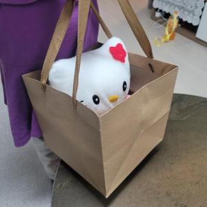 크라프트 무지 정사각쇼핑백 종이가방 소