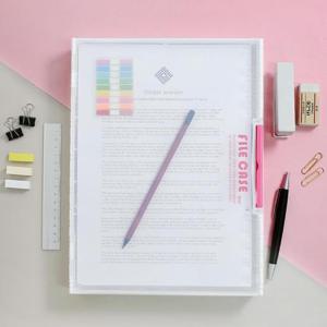 사무실 대학교 학원 A4 반투명 파일케이스 대형 FC03