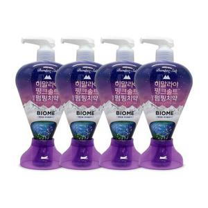 엘지생활건강 히말라야 핑크솔트 담은 펌핑 치약 바이옴 285g 4개 Ss