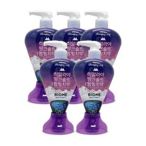 엘지생활건강 히말라야 핑크솔트 담은 펌핑 치약 바이옴 285g 5개 Ss