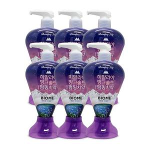 엘지생활건강 히말라야 핑크솔트 담은 펌핑 치약 바이옴 285g 6개 Ss