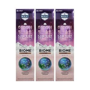 엘지생활건강 히말라야 핑크솔트 담은 치약 바이옴 100g 3개 Ss