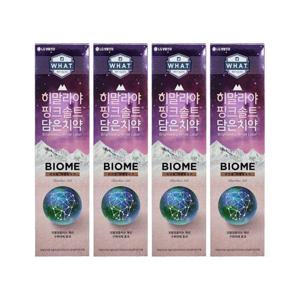 엘지생활건강 히말라야 핑크솔트 담은 치약 바이옴 100g 4개 Ss