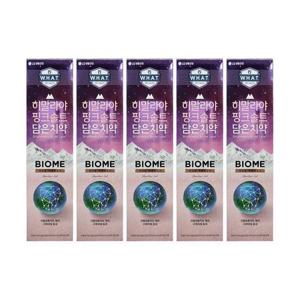 엘지생활건강 히말라야 핑크솔트 담은 치약 바이옴 100g 5개 Ss