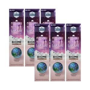 엘지생활건강 히말라야 핑크솔트 담은 치약 바이옴 100g 6개 Ss