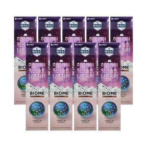 엘지생활건강 히말라야 핑크솔트 담은 치약 바이옴 100g 9개 Ss