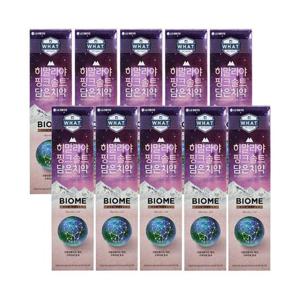 엘지생활건강 히말라야 핑크솔트 담은 치약 바이옴 100g 10개 Ss