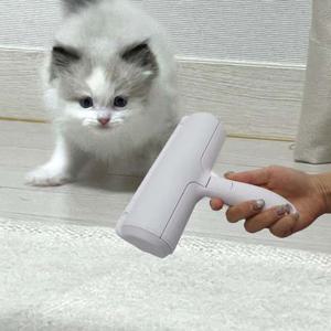 제거 털 고양이 털 반영구 털 청소 고양이 고양이 반영구 돌돌이 강아지 고양이 털 제거 청소 롤클리너 털제거기 베스트토레서 청소기 반영구돌돌이