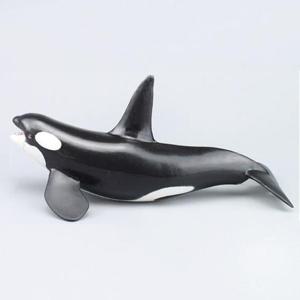 [반려] 파포 해양동물 모형완구 범고래 56000