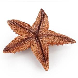 모모스 해양생물 불가사리 (T6011) 동물학습 동물모형 모형완구