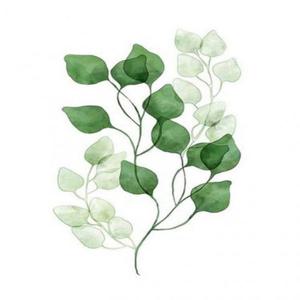 [데코] 아이윙스 피포페인팅 Q3221 보테니컬 DIY명화그리기 DIY그림그리기