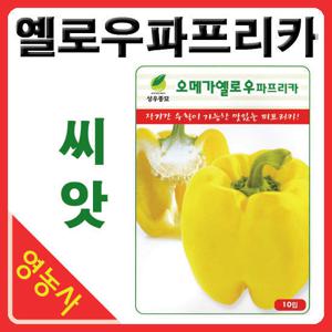 오메가 옐로우파프리카씨앗 (10립) 파프리카씨앗