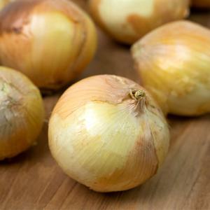 [농협] 신선 양파 10kg(특품)