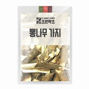 뽕나무 가지(상지) 600g