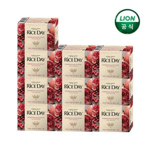 라이스데이 비누(유) 1입 x 10개