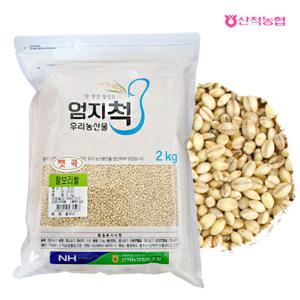 [산척농협] 엄지척잡곡 찰보리쌀 2kg