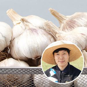 [산지직송] 황토 무안 통마늘(대서)/대5kg