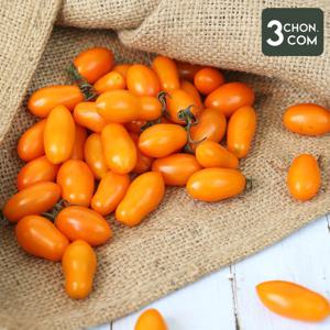 [삼촌밥먹자] 국내산 노랑 주황 대추방울토마토 1.5kg내외