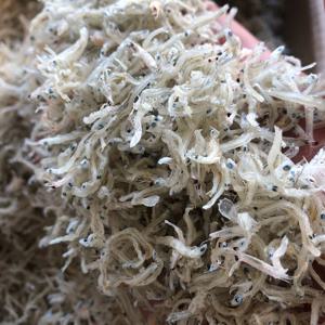 특품 지리멸치 1.5kg무료배송 세멸치 볶음멸치 잔멸치