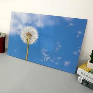 아트박스/꾸밈 cs337-아크릴액자_민들레홀씨