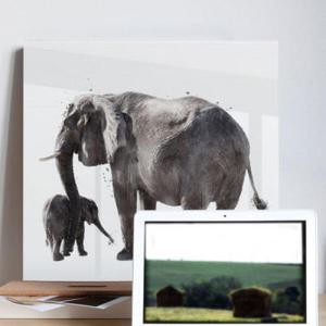 아트박스/꾸밈 ca073-아크릴액자_코끼리와얼룩말